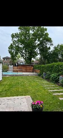 Lawn Maintenance - Photo 5