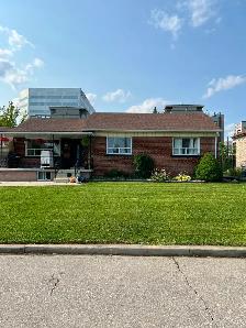 Lawn Maintenance - Photo 6