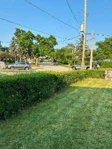 Lawn Maintenance - Photo 7