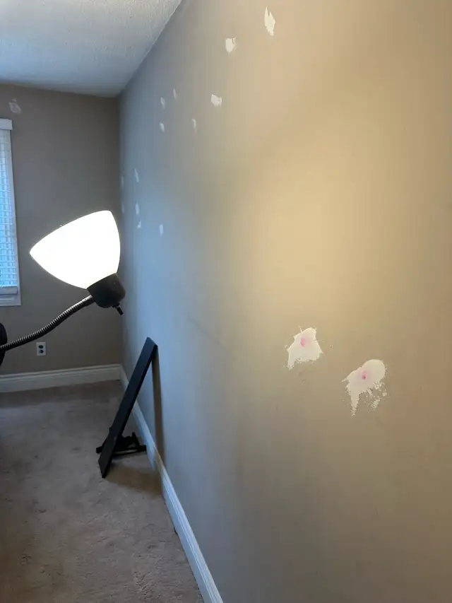 House Painting – Free Quotes - Photo 7