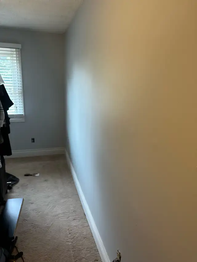 House Painting – Free Quotes - Photo 8