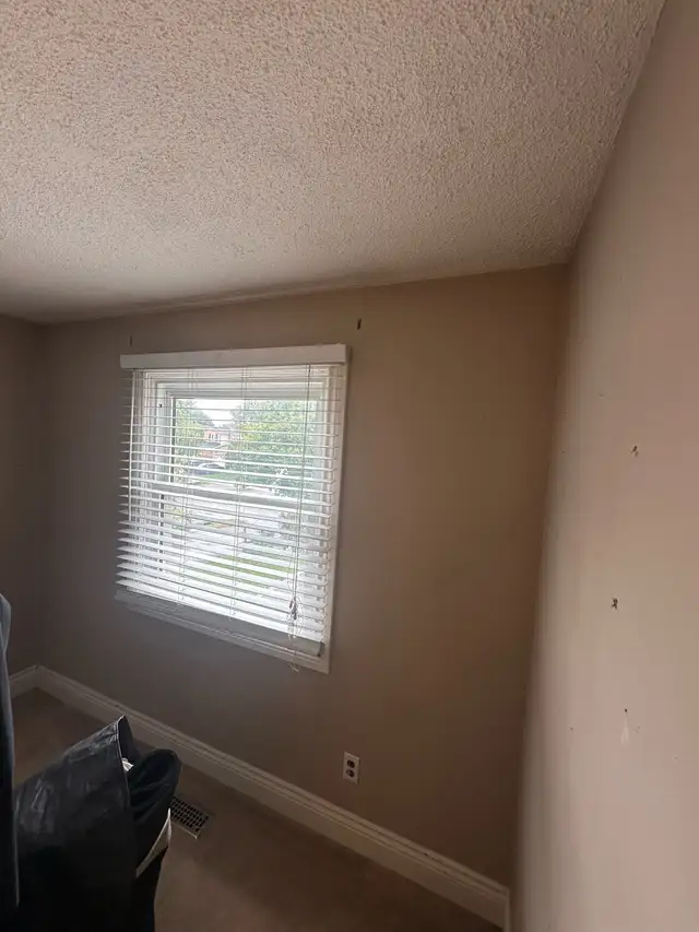 House Painting – Free Quotes - Photo 9