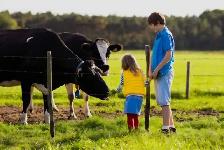 experienced Farm Family Seeking to Rent Working Farm