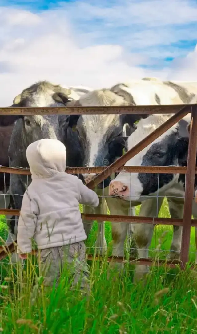 experienced Farm Family Seeking to Rent Working Farm - Photo 3