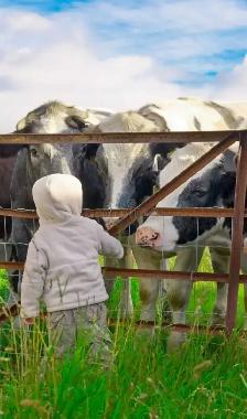 experienced Farm Family Seeking to Rent Working Farm - Photo 3