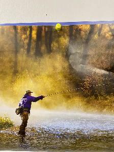 Experienced DZ Driver