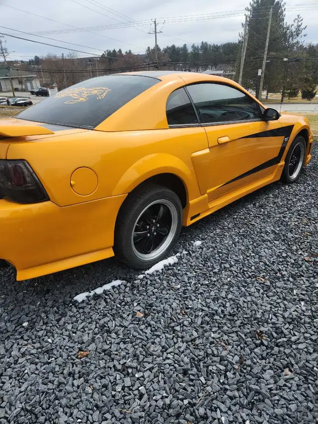 Ford Mustang GT 2002 V8 - Photo 3