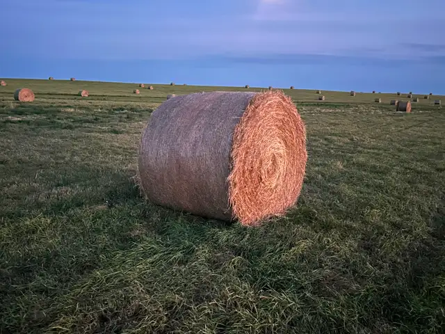 Hay for sale High River, Okotoks area