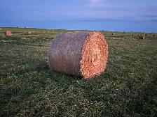 Hay for sale High River, Okotoks area