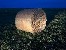 Hay for sale High River, Okotoks area - Photo 2