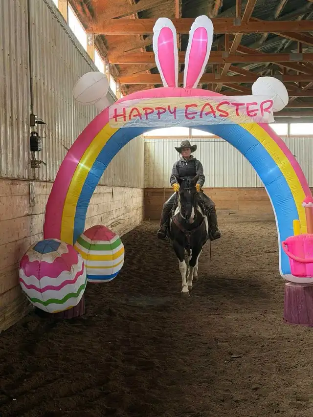 broke mare - Photo 4