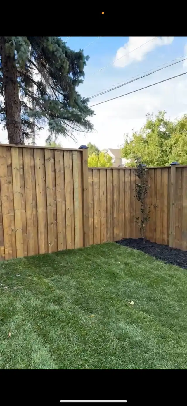 Home fencing - Photo 4