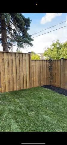 Home fencing - Photo 4