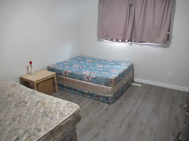 Room for Rent in Callingwood $550 Per Month