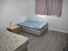 Room for Rent in Callingwood $550 Per Month