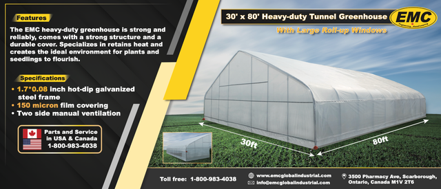Tunnel Greenhouse 30×80 FT – Perfect for Farming & Gardening
