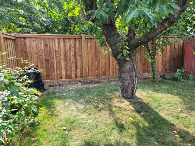 WOODEN FENCES, GATES & PERGOLAS - EARLY BIRD SPRING SPECIAL - Photo 4