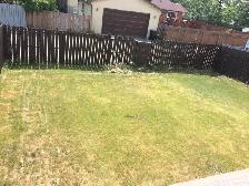 House - Main Floor - 2 Bedrooms and 1 Washroom for Rent - Photo 2