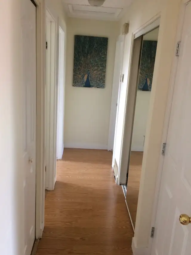 House - Main Floor - 2 Bedrooms and 1 Washroom for Rent - Photo 5