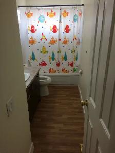 House - Main Floor - 2 Bedrooms and 1 Washroom for Rent - Photo 9