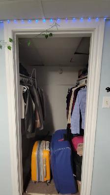 1  ROOM for RENT All Girls House -Near McMaster ($775 All INCL) - Photo 5