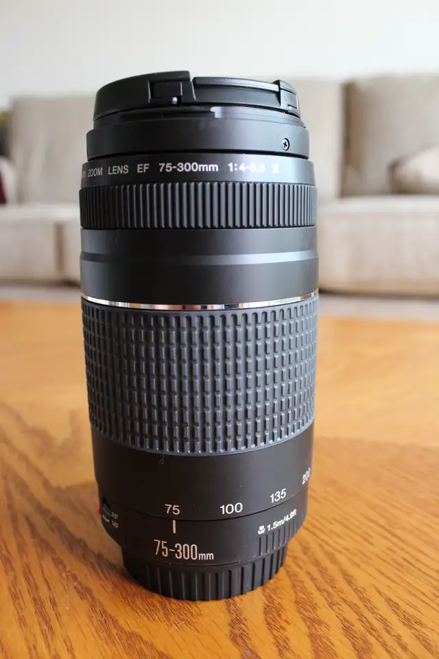 Canon Zoom Lens - Photo 3