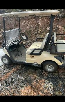 Golf Carts For Sale - Shop Local - Photo 3