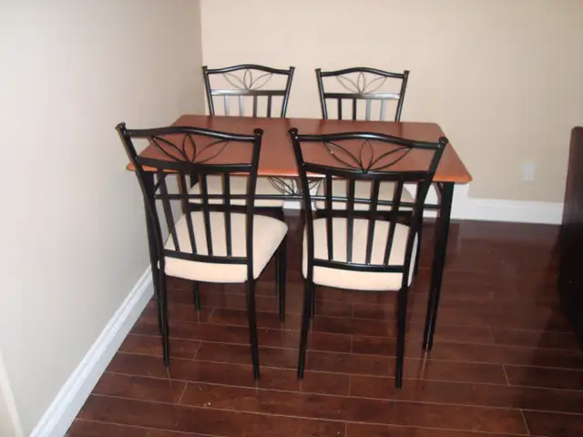 Fully furnished LEGAL suite w/sep entry Eagle Ridge - Timberlea - Photo 3