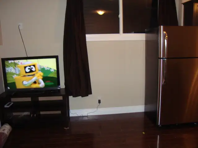 Fully furnished LEGAL suite w/sep entry Eagle Ridge - Timberlea - Photo 4