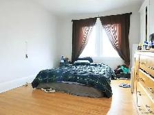 Rooms for Rent (8 min walk to McMaster, in westdale) - Photo 2