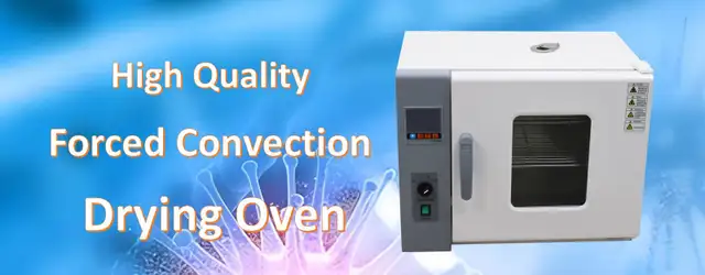 101-0AB Lab Digital Forced Air Convection Drying Oven 160110