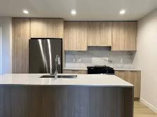 Brand new 2BD2BTH Condo for Rent A/C, Laundry, Parking incl.