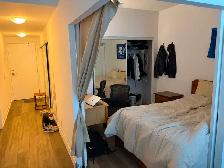 Furnished 1 bed   private bath in 2B/2B Toronto apartment - Photo 4