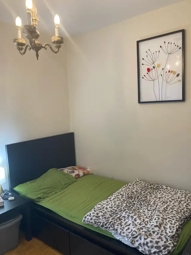 bachelor room for rent
