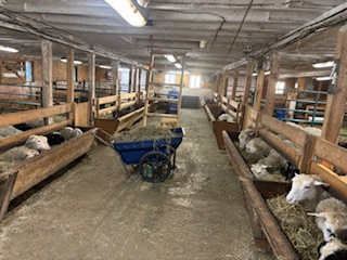 GRANGE A LOUER x 2 - Photo 3