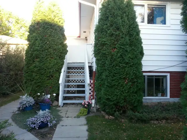 Raised bright one bedroom suite for rent, great location. - Photo 6