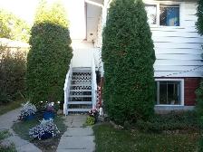 Raised bright one bedroom suite for rent, great location. - Photo 6