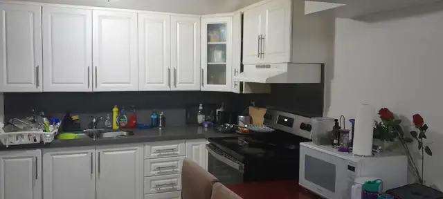 WALKOUT STUDIO BASEMENT ENSUITE WASHROOM,7370 DRIFTON CR MALTON