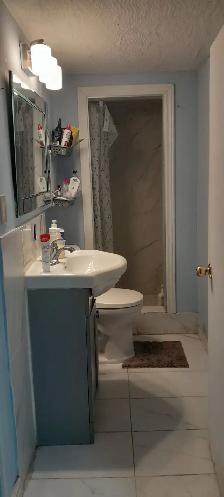 WALKOUT STUDIO BASEMENT ENSUITE WASHROOM,7370 DRIFTON CR MALTON - Photo 2