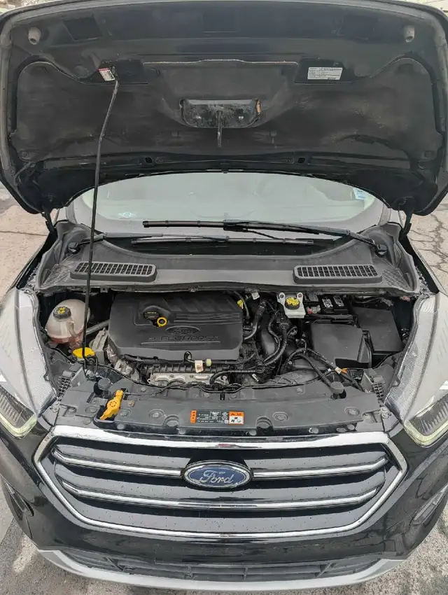Ford Escape SE 2018 - Photo 7