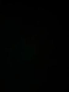 looking for g license job