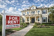 Bright beautiful new 5 1/2  3 bdr apartment for rent