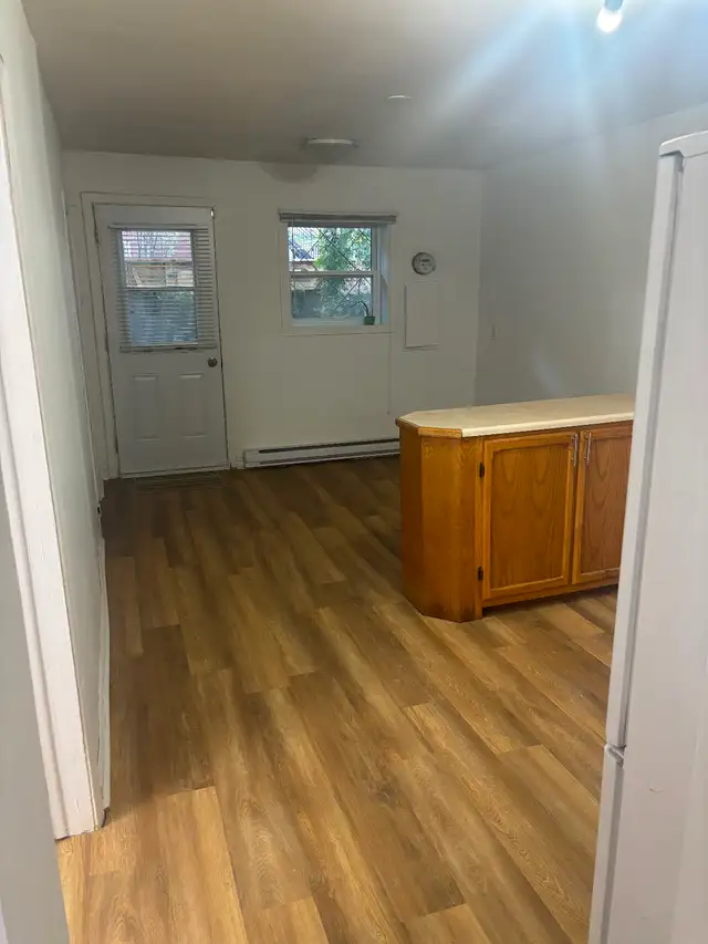 4 1/2 in St-Henri with yard, appliances and internet - Photo 6