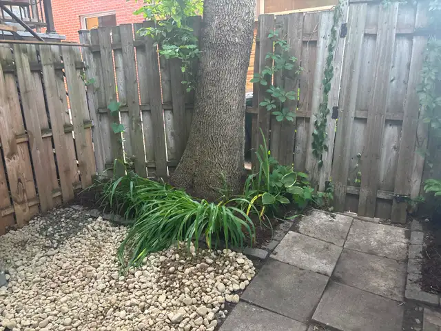 4 1/2 in St-Henri with yard, appliances and internet - Photo 13