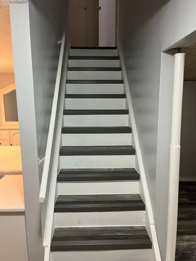 A bachelor for rent close to the U of M - Photo 4