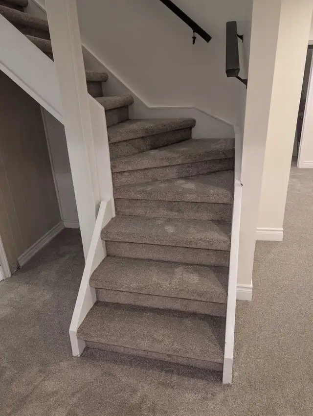 Carpet sale & installation - Photo 5