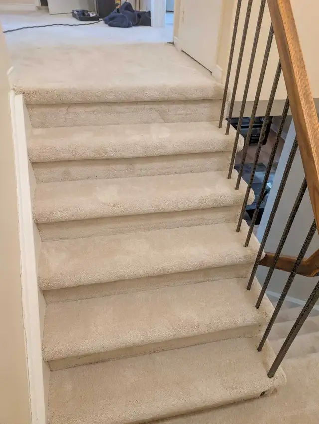 Carpet sale & installation - Photo 9