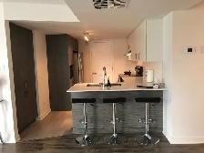 Grand 4 1/2 Urbanova (Terrebonne),  1er juillet, 1900$/mois