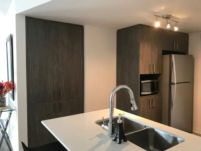 Grand 4 1/2 Urbanova (Terrebonne),  1er juillet, 1900$/mois - Photo 3