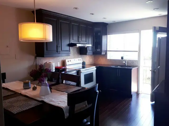 BEAUTIFUL 2  BEDROOM APARTMENT FOR A PROFESSIOANL JULY - Photo 8